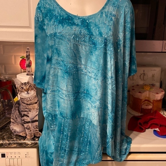 R womens Catherine’s casual turquoise stretch short sleeve plus size top 4X - Picture 1 of 4
